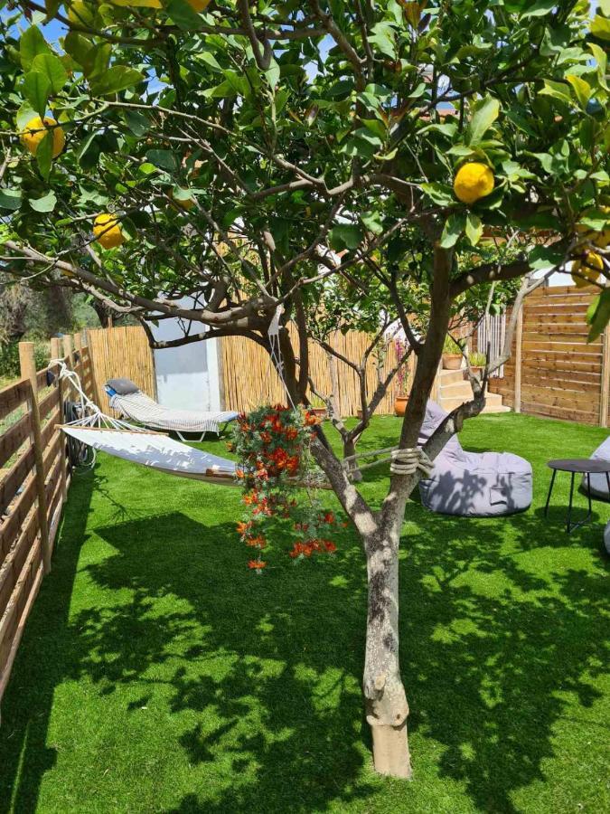 Lemonia Apartment With Yard Picídia Kültér fotó